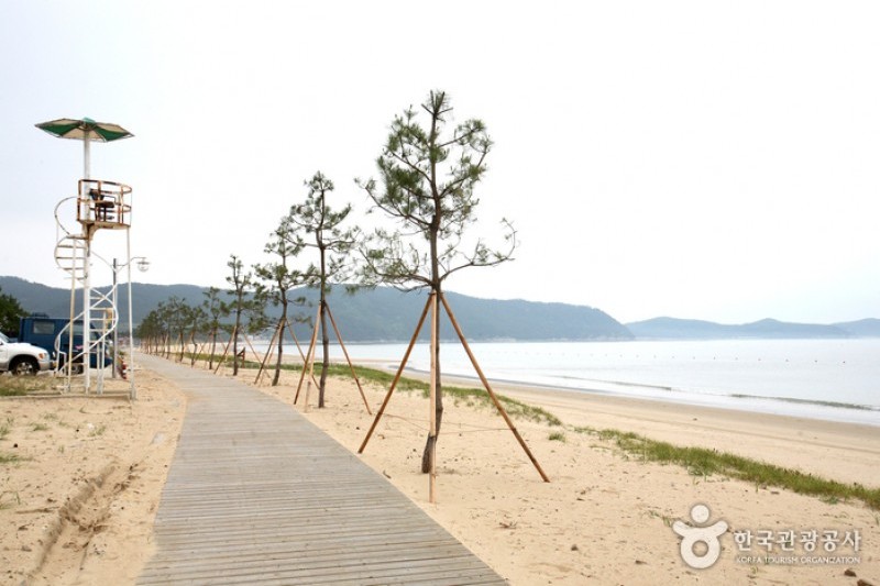 薪智鳴沙十里海水浴場 (21/26)