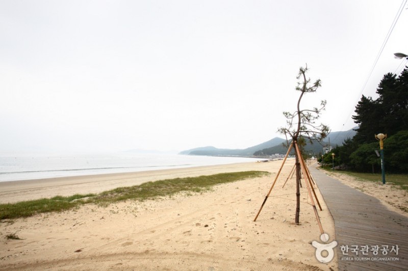 薪智鳴沙十里海水浴場 (22/26)