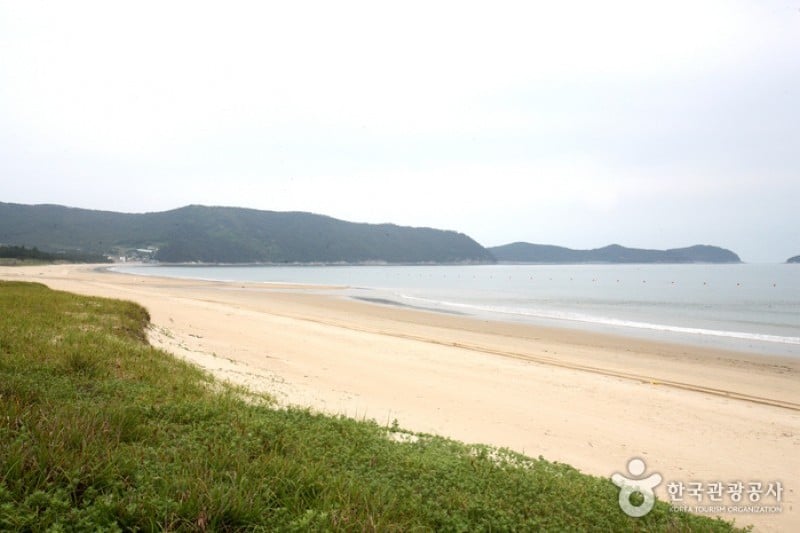 薪智鳴沙十里海水浴場 (23/26)
