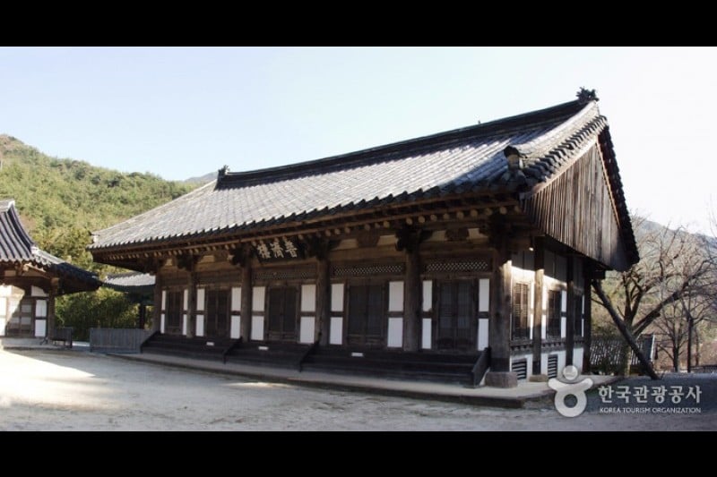 泉隠寺 (1/19)