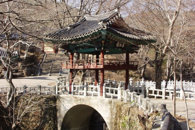 泉隠寺 (3/19)
