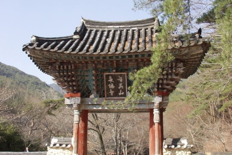 泉隠寺 (5/19)