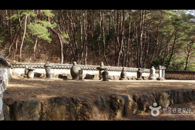 泉隠寺 (7/19)