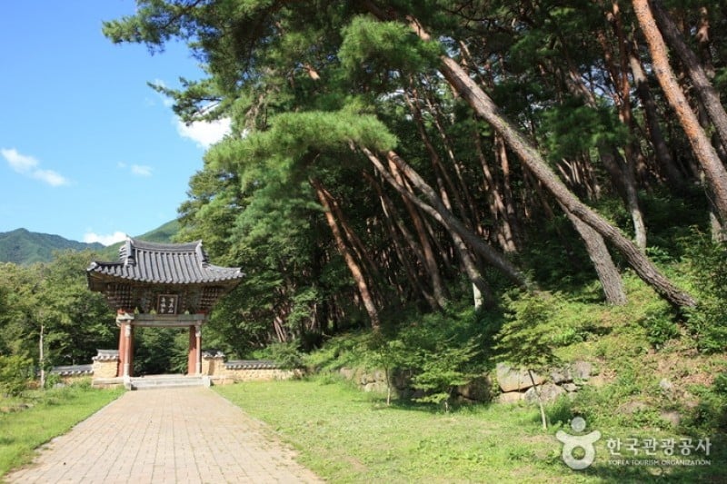 泉隠寺 (9/19)