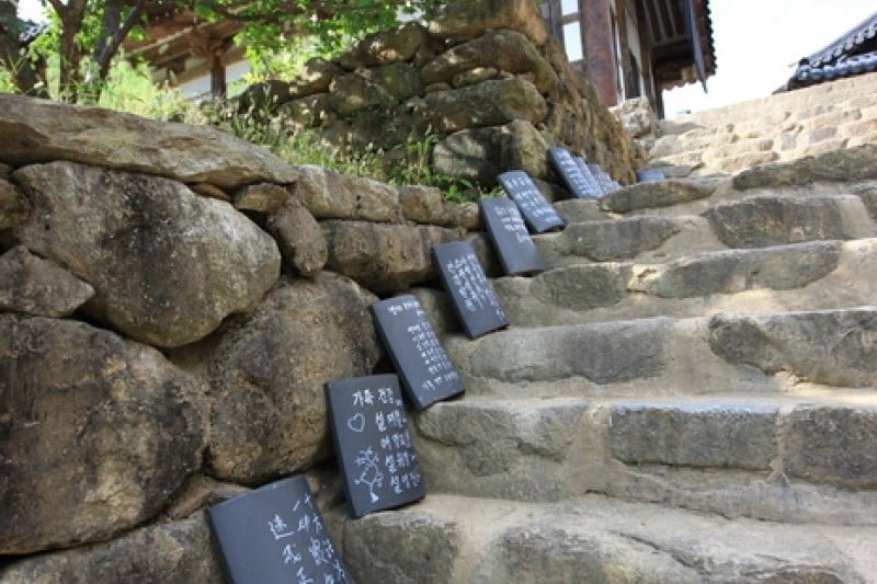 泉隠寺 (10/19)