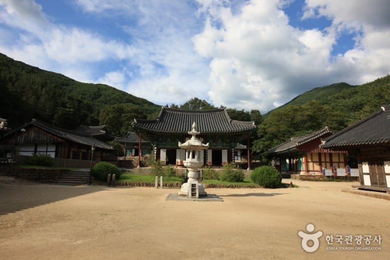 泉隠寺 (11/19)