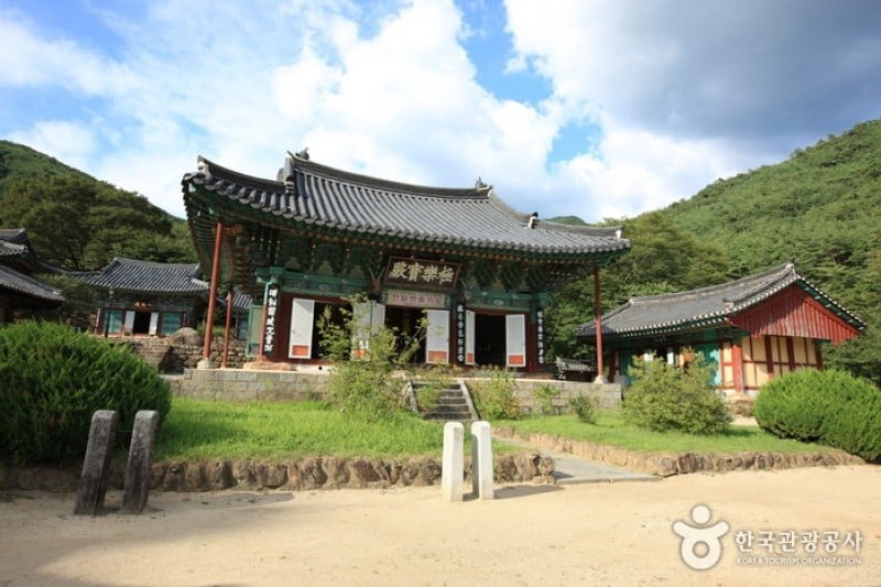 泉隠寺 (12/19)