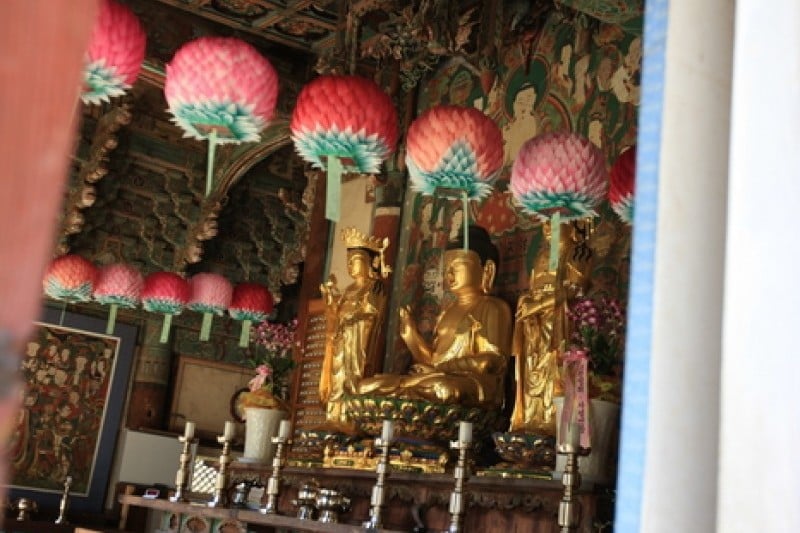 泉隠寺 (15/19)