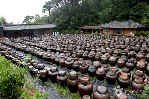 南道飲食文化祭り