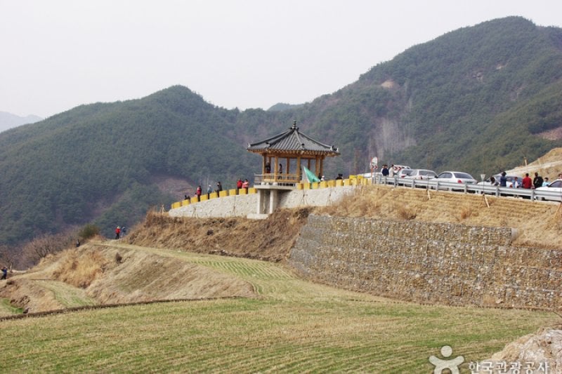 求礼 山茱萸村 (5/10)