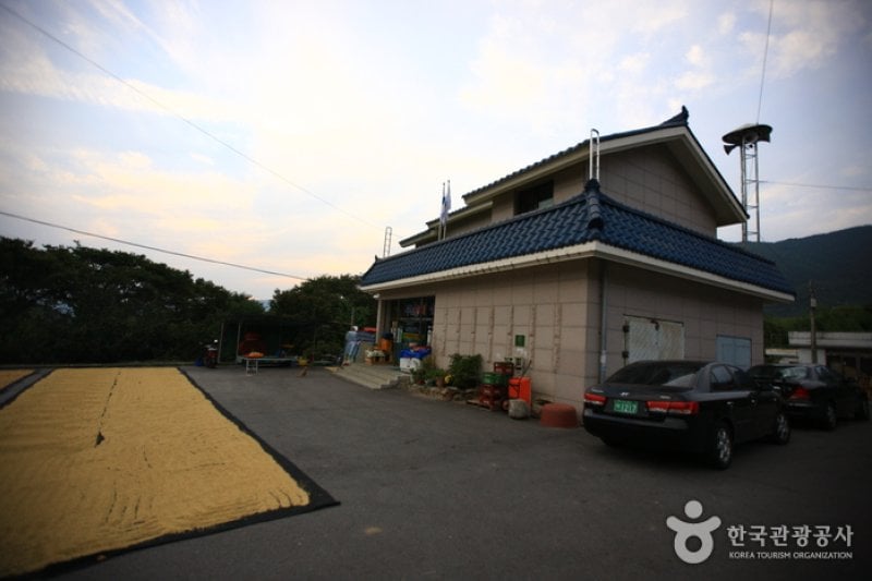 求礼 山茱萸村 (6/10)