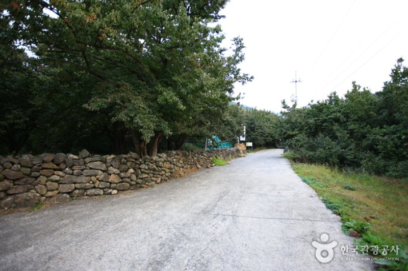求礼 山茱萸村 (9/10)