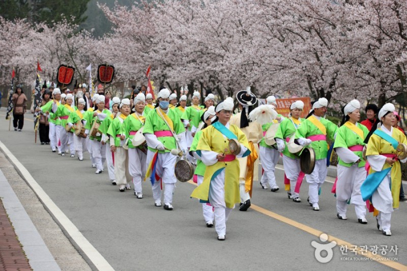 霊岩王仁文化祭り (1/14)