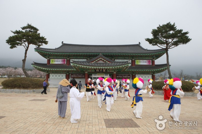 霊岩王仁文化祭り (2/14)