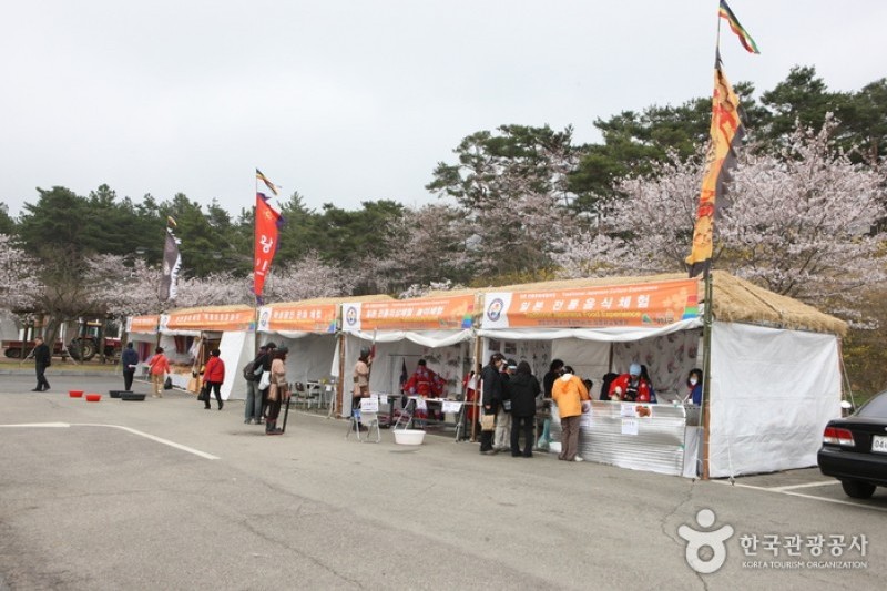 霊岩王仁文化祭り (4/14)