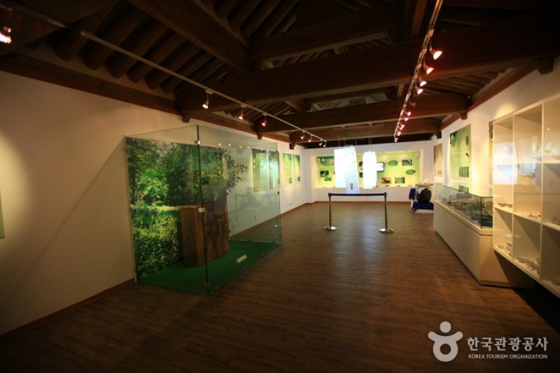 順天伝統野生茶体験館 (8/11)