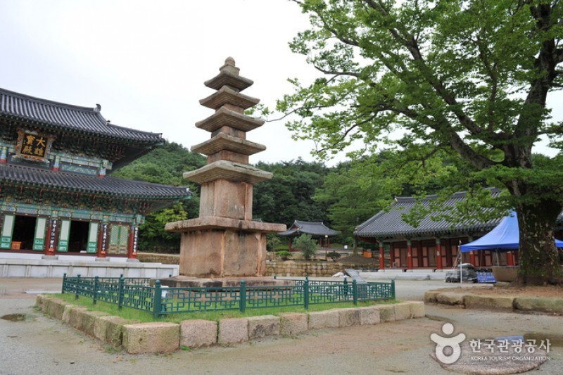 道岬寺 (15/29)