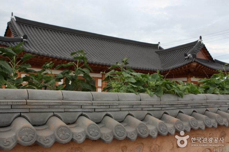 霊岩鳩林村 (1/1)