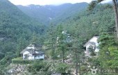 楽安民俗自然休養林