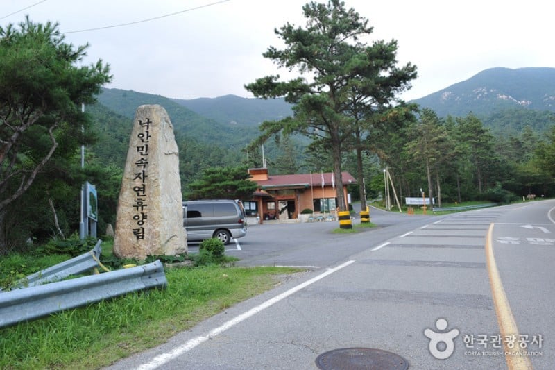 楽安民俗自然休養林 (3/5)