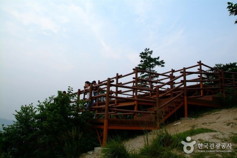 順天龍山展望台（순천용산전망대 (6/9)