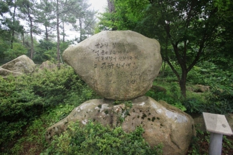 天冠山文学公園 (11/20)