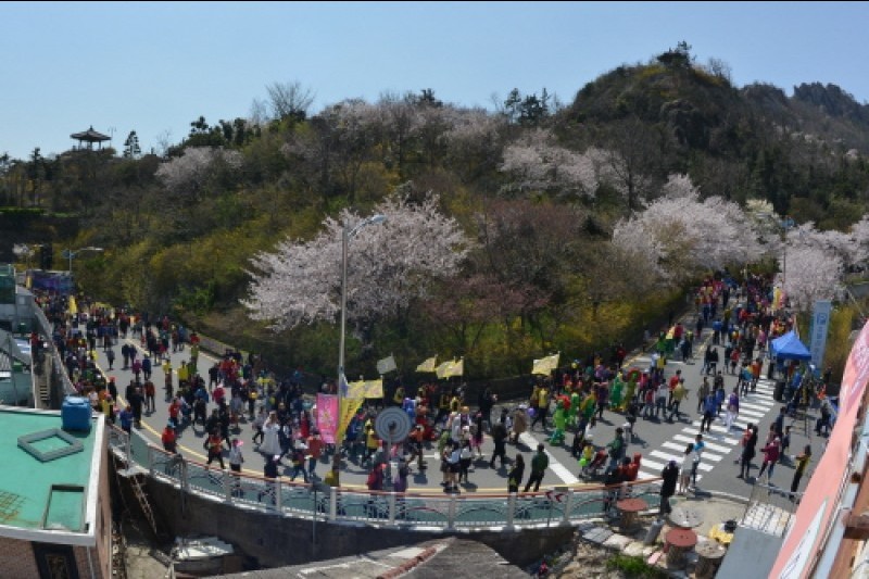木浦 花咲く儒達山祭り (2/9)