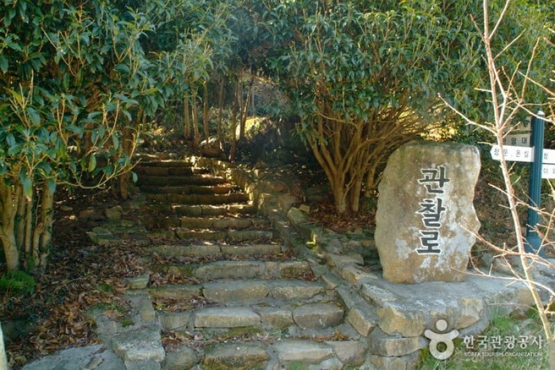 莞島樹木園 (2/13)