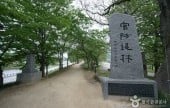 官防堤林
