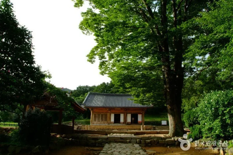 無為寺 (17/18)