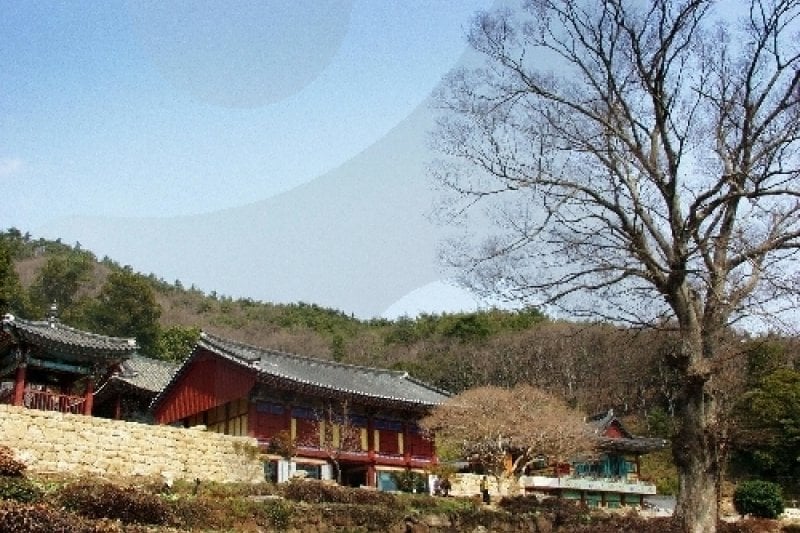 白蓮寺（康津）（백련사(강진)） (5/20)