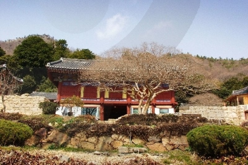 白蓮寺（康津）（백련사(강진)） (6/20)