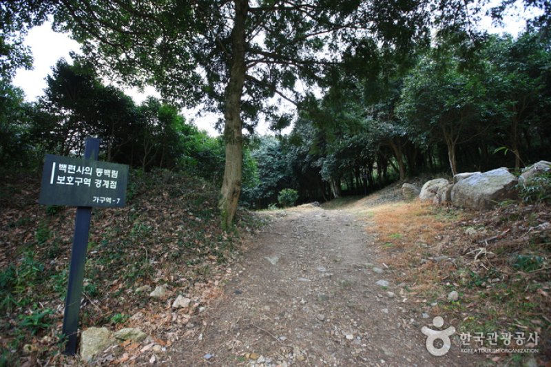 白蓮寺（康津）（백련사(강진)） (18/20)