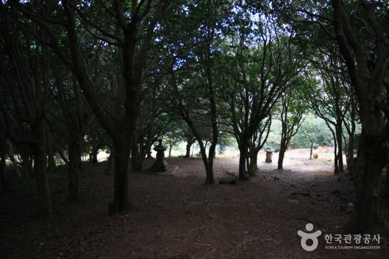 白蓮寺（康津）（백련사(강진)） (19/20)