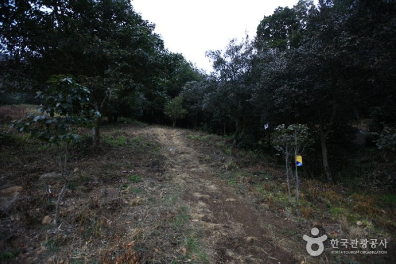 白蓮寺（康津）（백련사(강진)） (20/20)