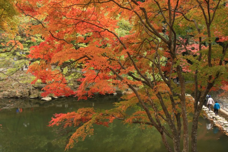 長城白羊紅葉祭り (2/12)