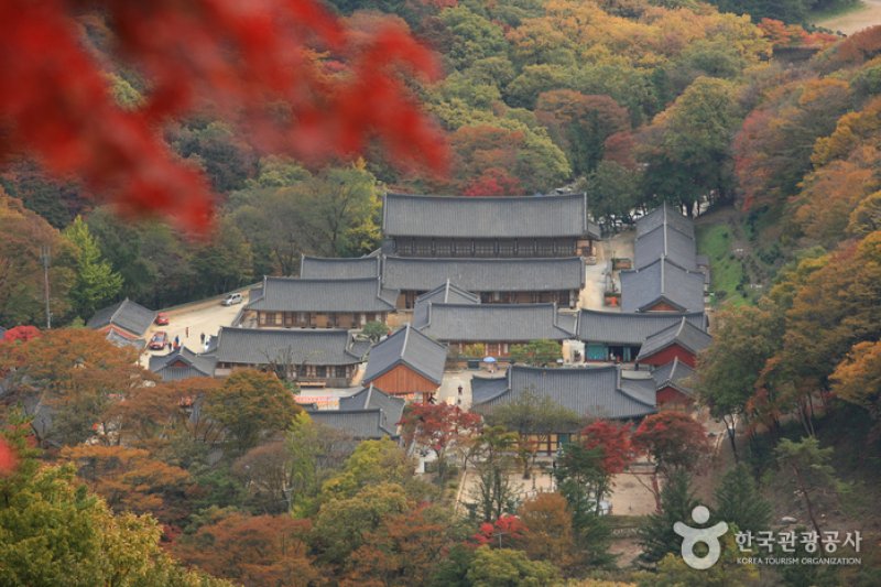 長城白羊紅葉祭り (5/12)