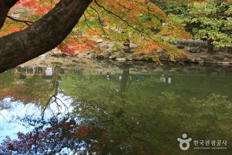 長城白羊紅葉祭り (7/12)
