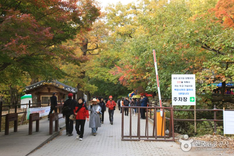 長城白羊紅葉祭り (9/12)