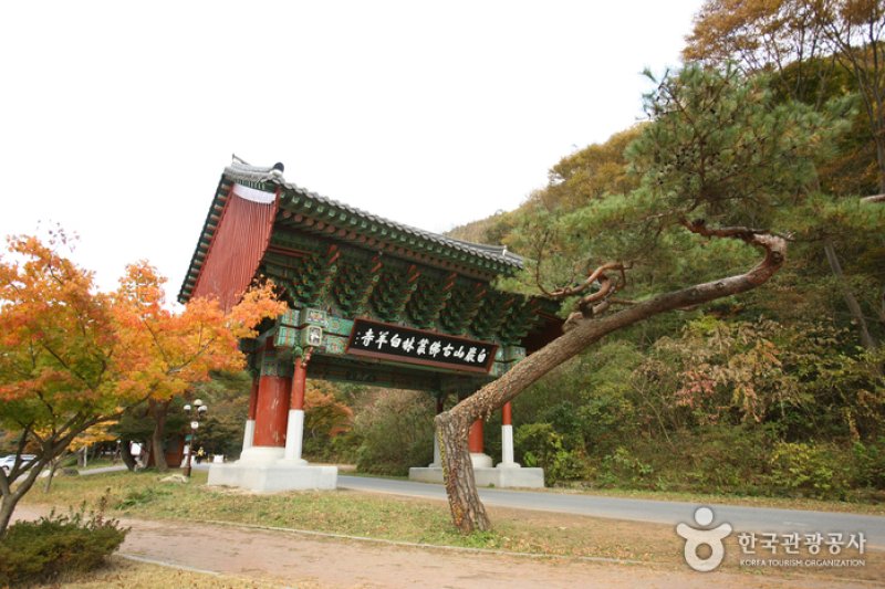 長城白羊紅葉祭り (12/12)