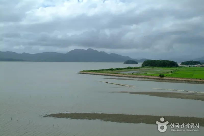 康津湾 (1/8)
