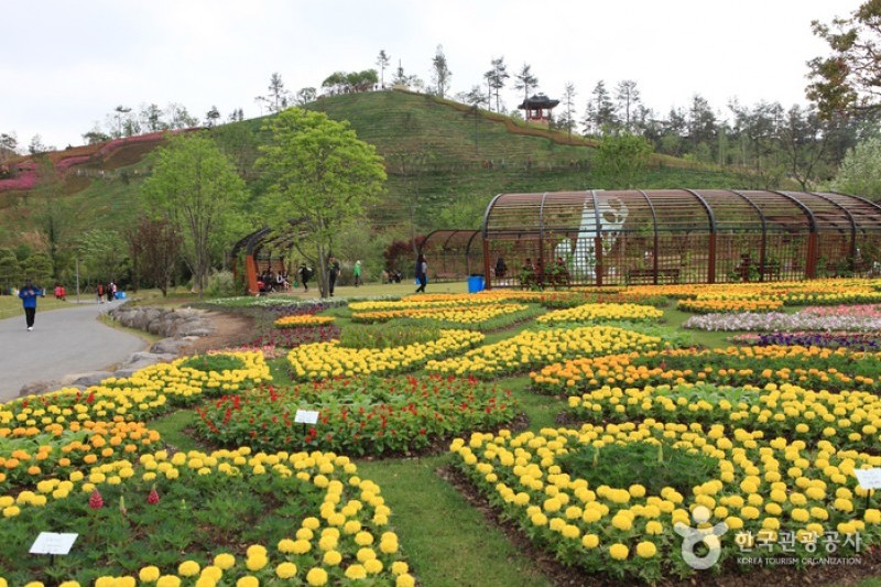 順天湾国家庭園 (2/46)