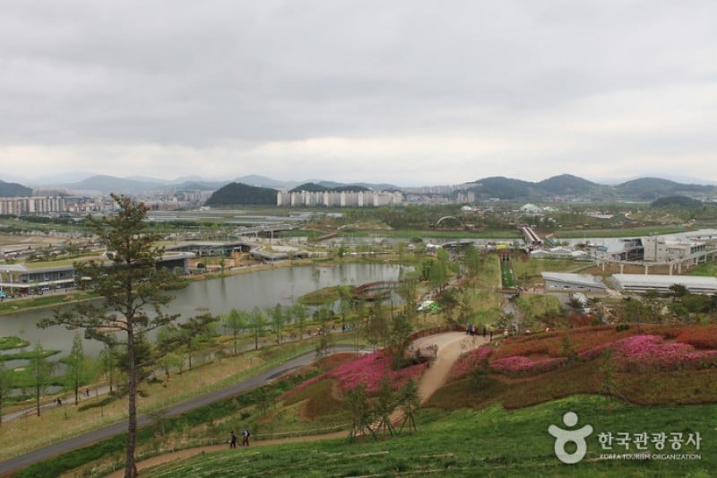 順天湾国家庭園 (5/46)