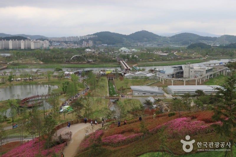 順天湾国家庭園 (6/46)