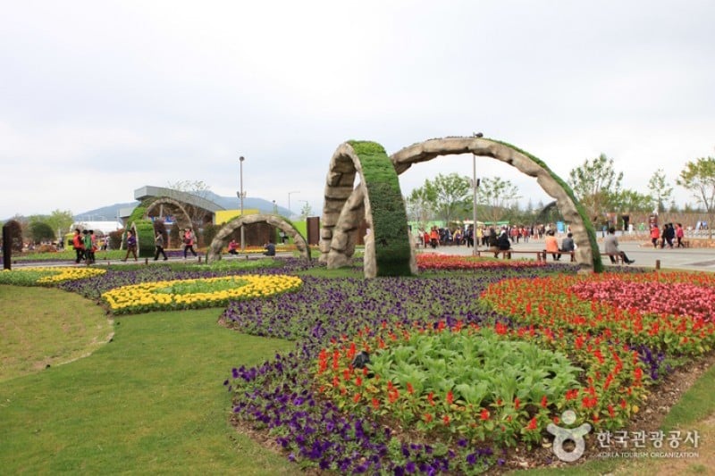 順天湾国家庭園 (13/46)
