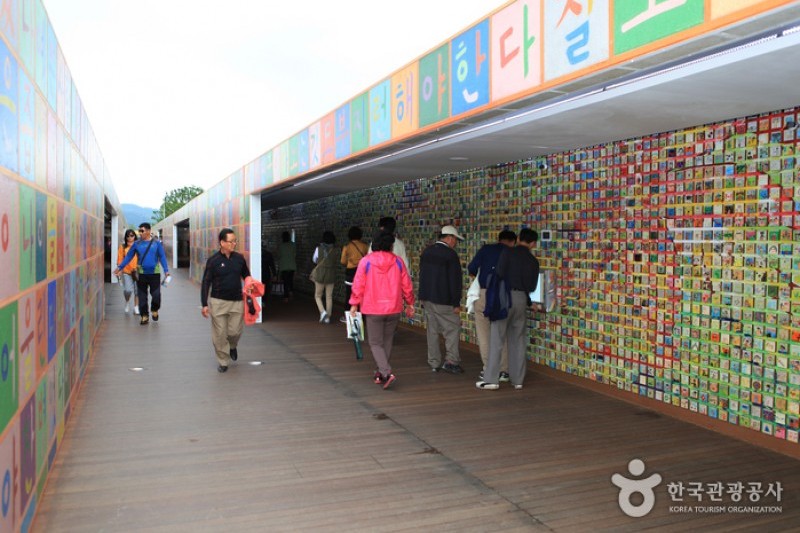 順天湾国家庭園 (15/46)