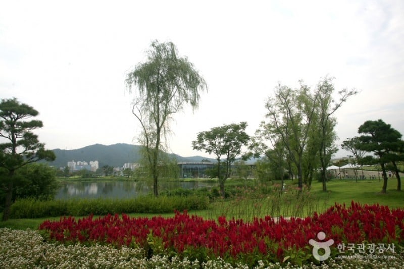 順天湾国家庭園 (41/46)