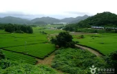 康津茶園