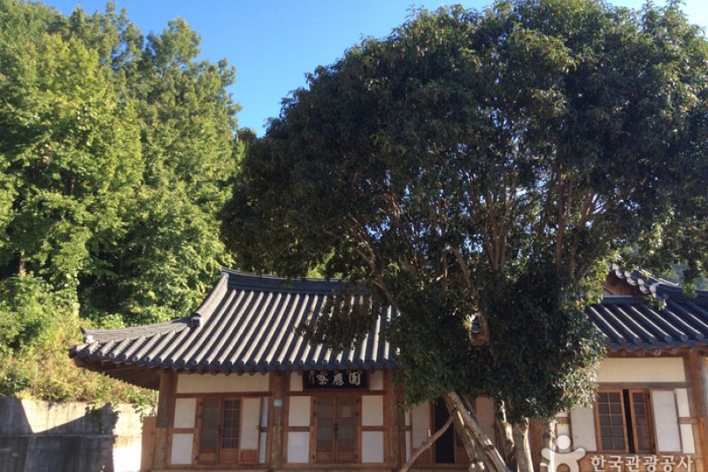 興輪寺 (1/5)