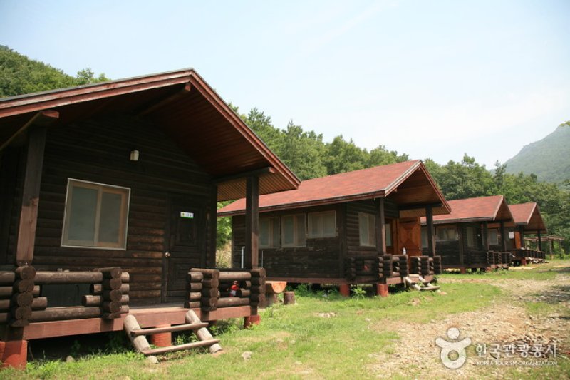 駕鶴山自然休養林 (1/10)